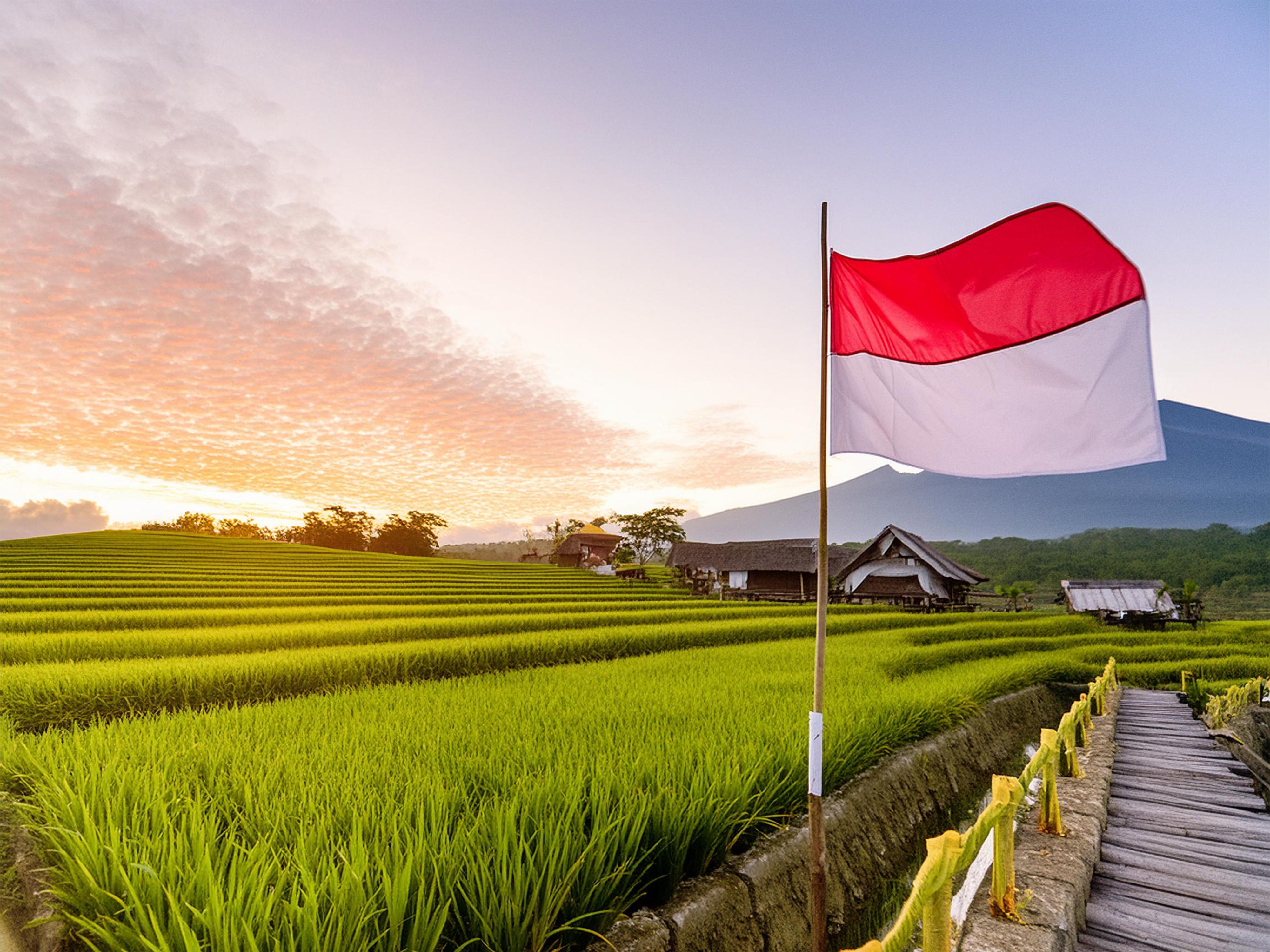 Announcing the Launch of Sawah Cyber Security on 1 December 2024